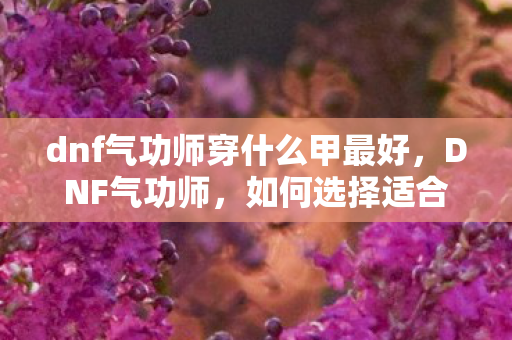 dnf气功师穿什么甲最好图片