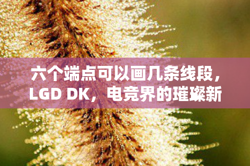 六个端点可以画几条线段，LGD DK，电竞界的璀璨新星