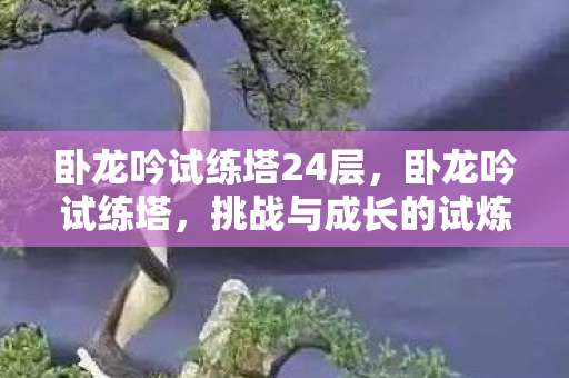 卧龙吟试练塔24层图片