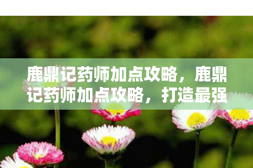 鹿鼎记药师加点攻略图片