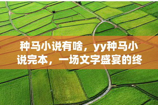 一场文字盛宴的终结与反思图片