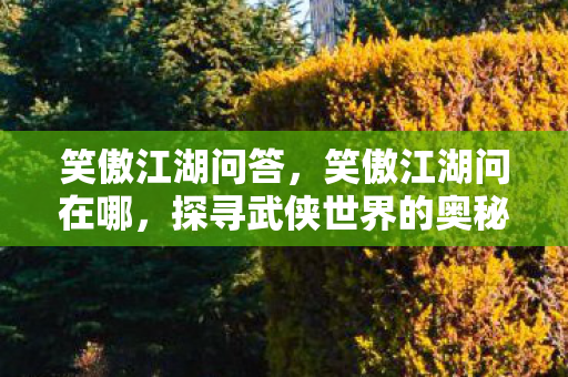 探寻武侠世界的奥秘图片