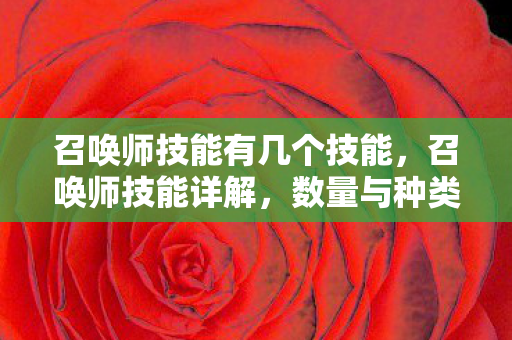 召唤师技能有几个技能图片