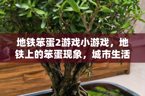 地铁笨蛋2游戏小游戏图片