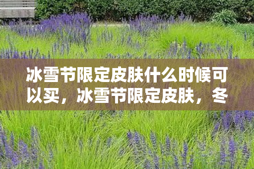 冰雪节限定皮肤什么时候可以买图片