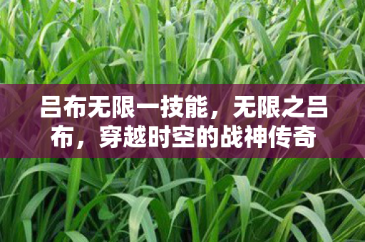 穿越时空的战神传奇图片