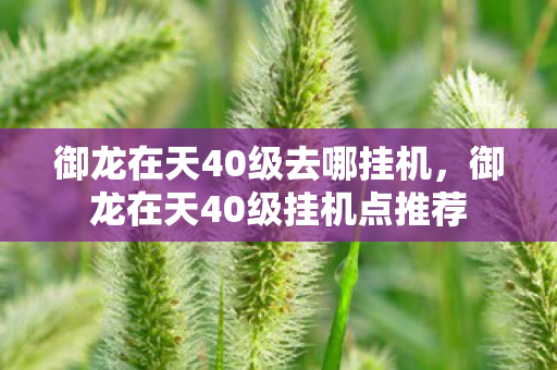 御龙在天40级挂机点推荐图片