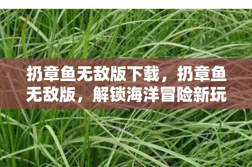 解锁海洋冒险新玩法图片