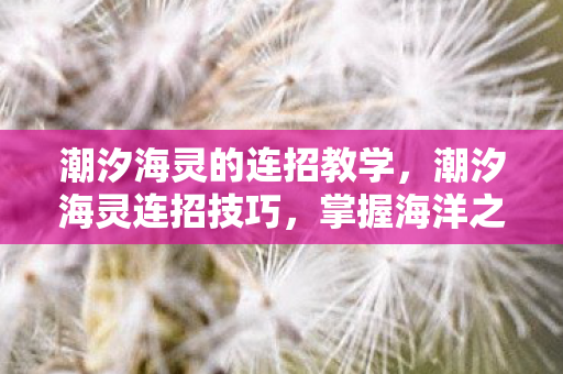 潮汐海灵的连招教学，潮汐海灵连招技巧，掌握海洋之力，主宰战场节奏