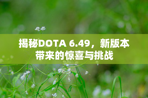 揭秘DOTA 6.49，新版本带来的惊喜与挑战