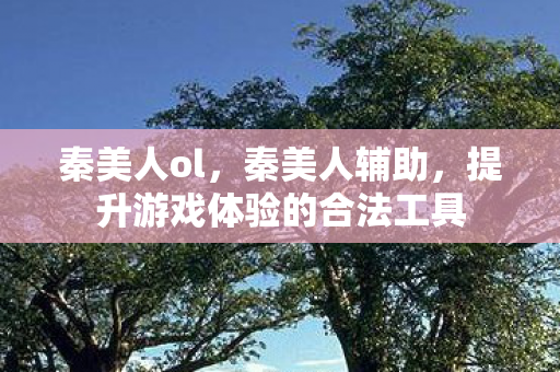 提升游戏体验的合法工具图片