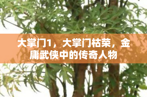 金庸武侠中的传奇人物图片