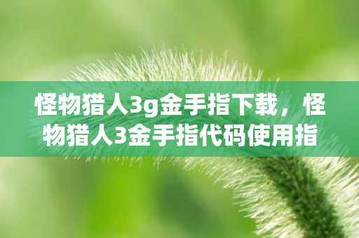 怪物猎人3金手指代码使用指南图片