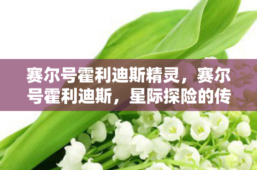 赛尔号霍利迪斯精灵图片