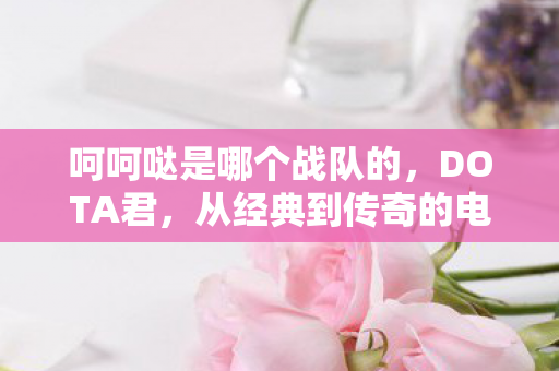 从经典到传奇的电竞之旅图片