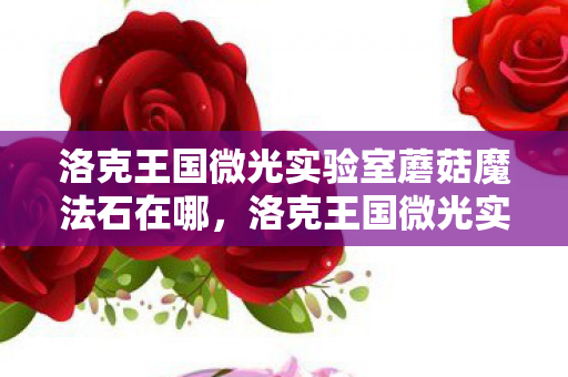 洛克王国微光实验室蘑菇魔法石在哪图片