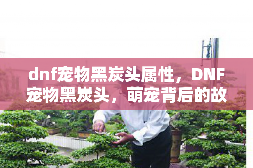 萌宠背后的故事与游戏文化图片