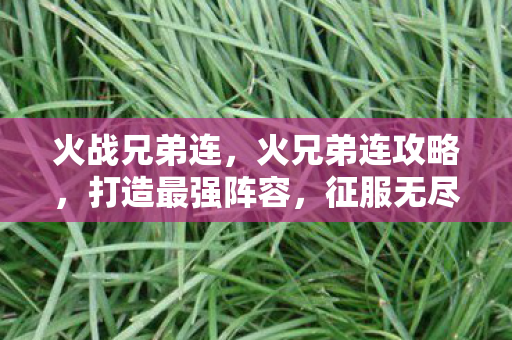 火兄弟连攻略图片