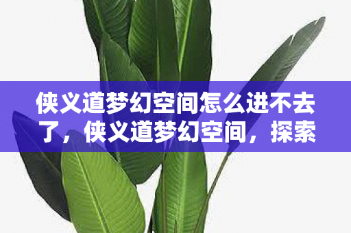侠义道梦幻空间怎么进不去了，侠义道梦幻空间，探索未知，追寻正义