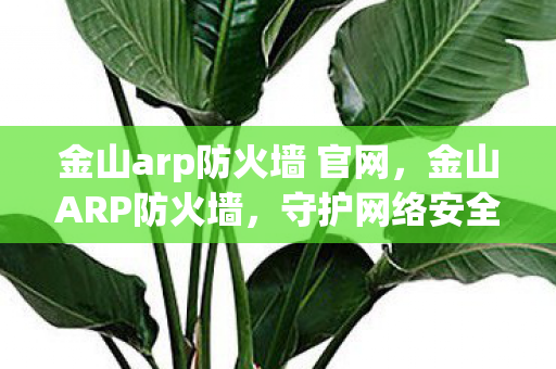 金山arp防火墙 官网图片