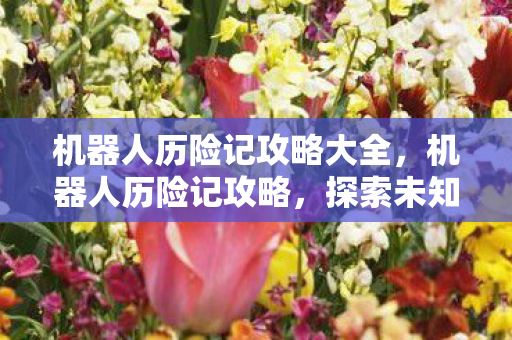 机器人历险记攻略大全图片