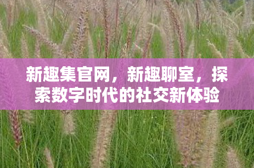 探索数字时代的社交新体验图片