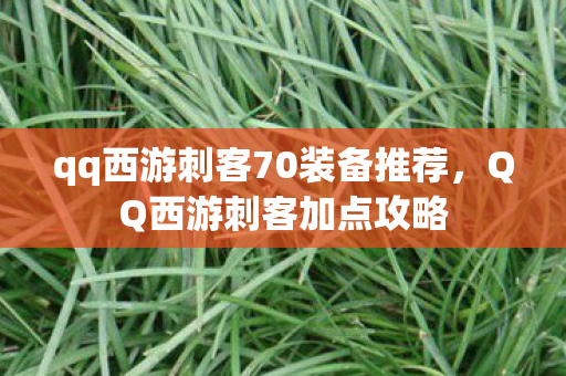 qq西游刺客70装备推荐,QQ西游刺客加点攻略 qq西游刺客70装备推荐,QQ西游刺客加点攻略