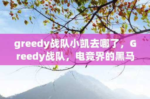 greedy战队小凯去哪了，Greedy战队，电竞界的黑马崛起之路