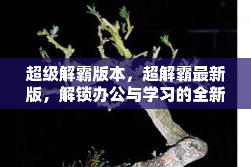 解锁办公与学习的全新体验图片