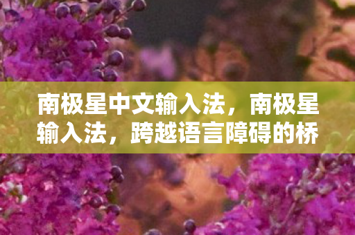 跨越语言障碍的桥梁图片