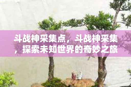 探索未知世界的奇妙之旅图片