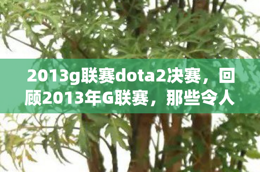 2013g联赛dota2决赛，回顾2013年G联赛，那些令人热血沸腾的瞬间