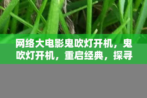 网络大电影鬼吹灯开机图片