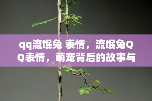 萌宠背后的故事与文化图片