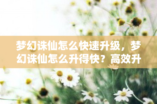 梦幻诛仙怎么快速升级图片