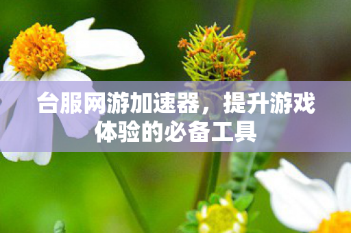 提升游戏体验的必备工具图片