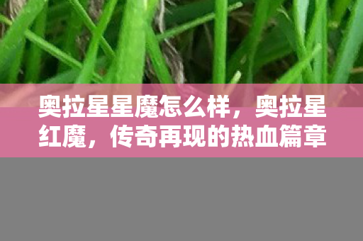 传奇再现的热血篇章图片