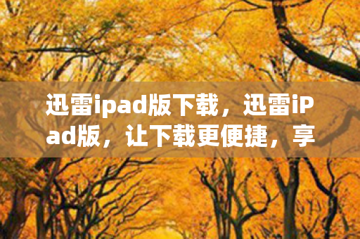 迅雷ipad版下载图片