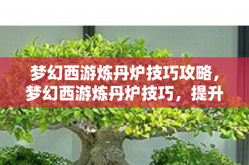 梦幻西游炼丹炉技巧攻略图片