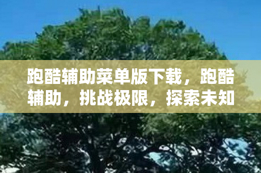 跑酷辅助菜单版下载图片