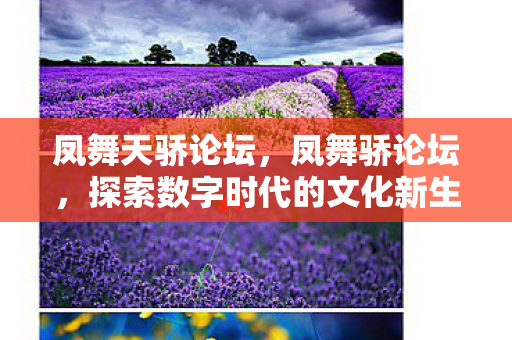 探索数字时代的文化新生态图片