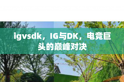 igvsdk，IG与DK，电竞巨头的巅峰对决