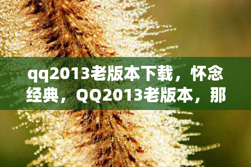 qq2013老版本下载图片