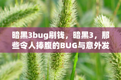 那些令人捧腹的BUG与意外发现图片
