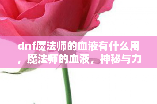 dnf魔法师的血液有什么用图片
