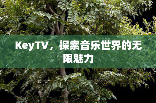 KeyTV，探索音乐世界的无限魅力