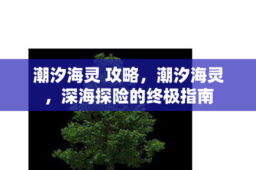 深海探险的终极指南图片