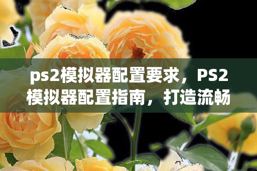 ps2模拟器配置要求图片
