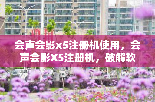 破解软件的风险与合法替代方案图片