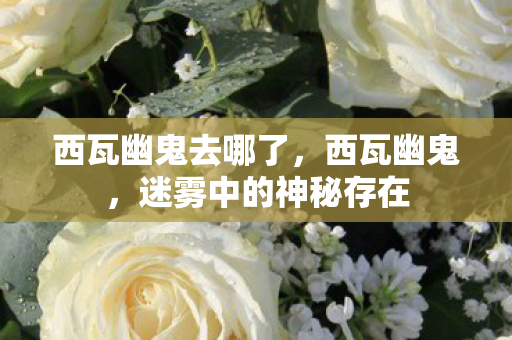 西瓦幽鬼去哪了，西瓦幽鬼，迷雾中的神秘存在